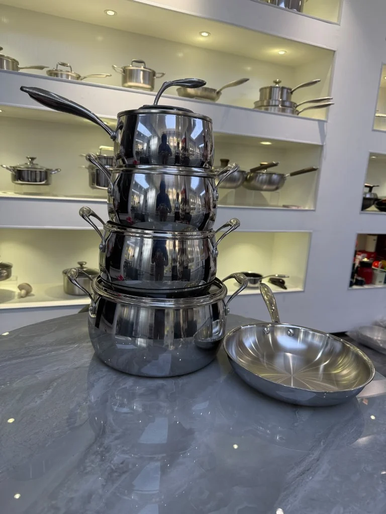 European Premium Stainless Steel 9-Piece Cookware Set