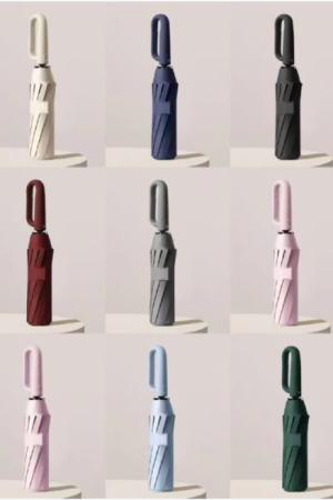 Automatic Umbrella with Hook